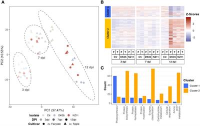 Integrative transcript to proteome analysis of barley during Ramularia collo-cygni leaf spot development identified several proteins that are related to fungal recognition and infection responses